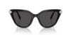 Picture of Swarovski Sunglasses SK6039F