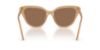 Picture of Swarovski Sunglasses SK6039F