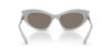 Picture of Swarovski Sunglasses SK6038