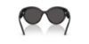 Picture of Dolce & Gabbana Sunglasses DX6010