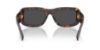 Picture of Dolce & Gabbana Sunglasses DG4503