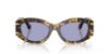 Picture of Dolce & Gabbana Sunglasses DG4502