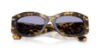 Picture of Dolce & Gabbana Sunglasses DG4502