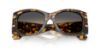 Picture of Dolce & Gabbana Sunglasses DG4501