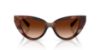 Picture of Dolce & Gabbana Sunglasses DG4497