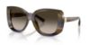 Picture of Dolce & Gabbana Sunglasses DG4495