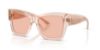 Picture of Dolce & Gabbana Sunglasses DG4493