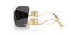 Picture of Dolce & Gabbana Sunglasses DG2319