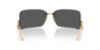 Picture of Dolce & Gabbana Sunglasses DG2319