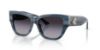 Picture of Jimmy Choo Sunglasses JC5039BU