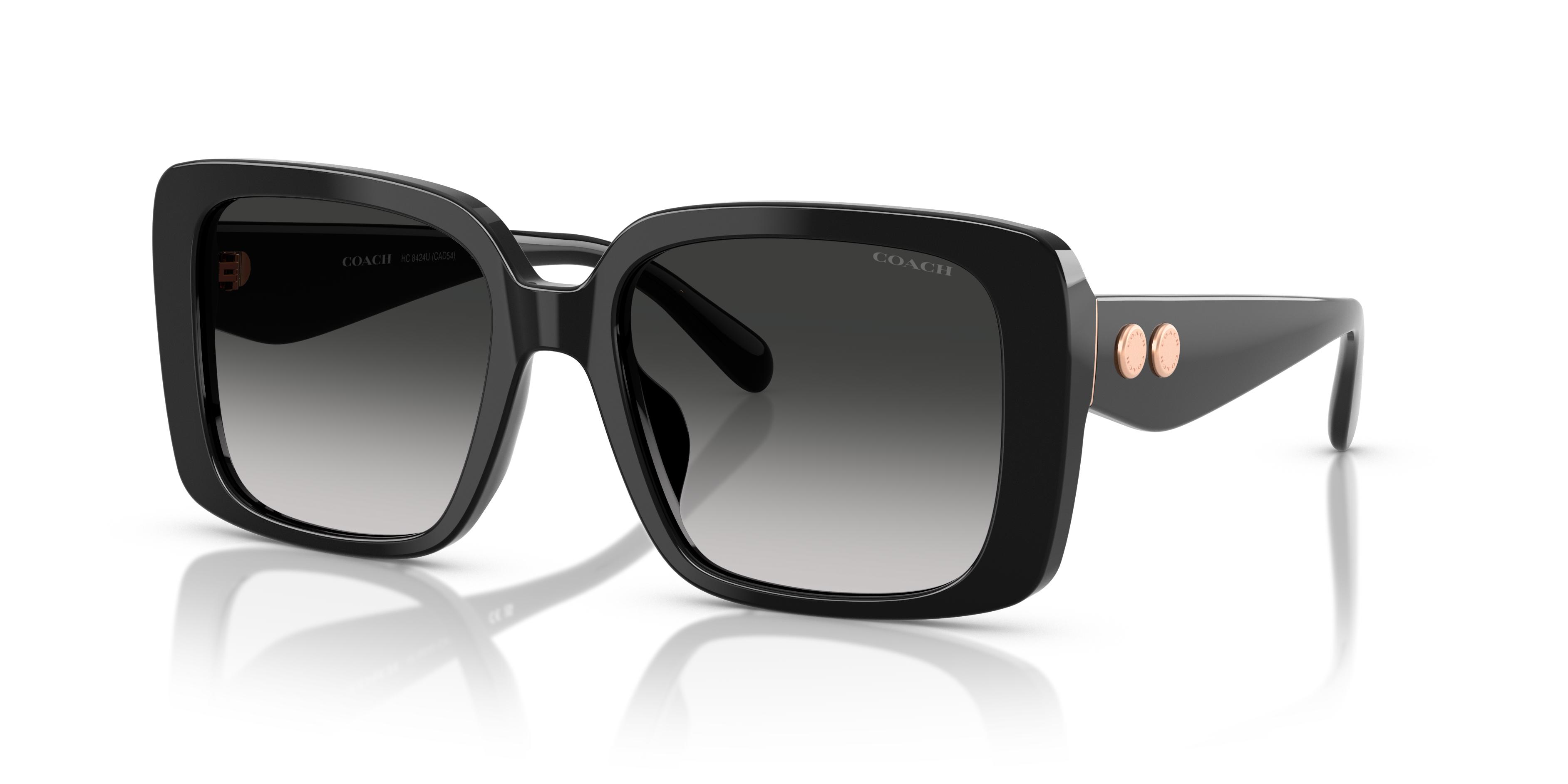 Picture of Coach Sunglasses HC8424U