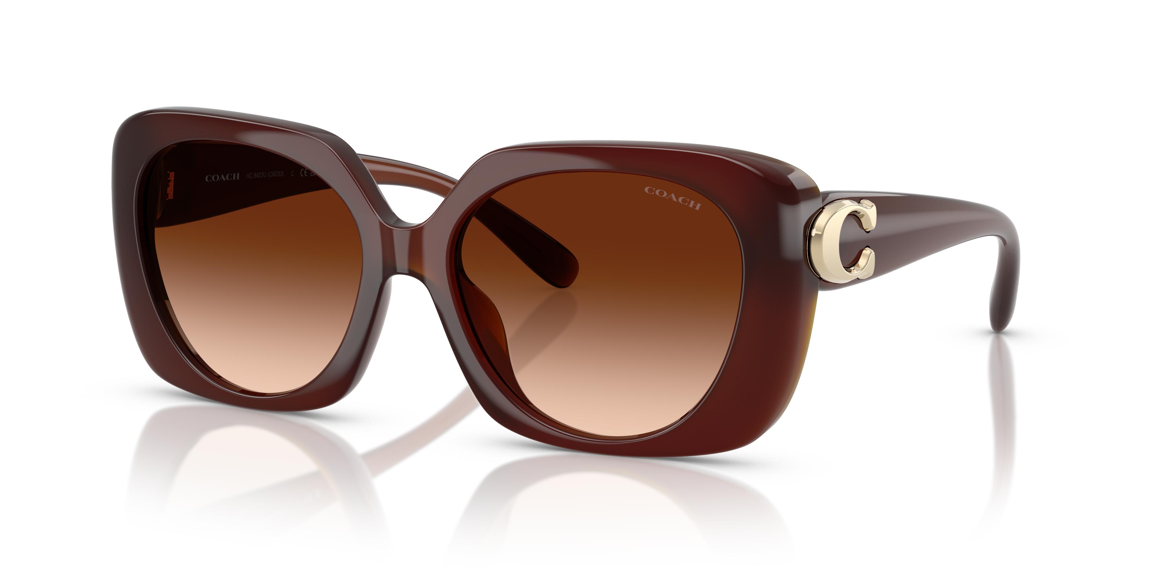 Picture of Coach Sunglasses HC8422U