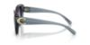 Picture of Coach Sunglasses HC8422U