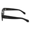 Picture of Salvatore Ferragamo Sunglasses SF2064SE