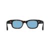 Picture of Salvatore Ferragamo Sunglasses SF2064SE