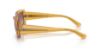 Picture of Ray Ban Sunglasses RB4395F