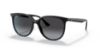 Picture of Ray Ban Sunglasses RB4378