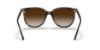 Picture of Ray Ban Sunglasses RB4378