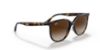 Picture of Ray Ban Sunglasses RB4378