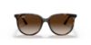 Picture of Ray Ban Sunglasses RB4378