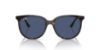 Picture of Ray Ban Sunglasses RB4378