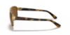Picture of Ray Ban Sunglasses RB3663