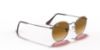 Picture of Ray Ban Sunglasses RB3447N