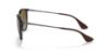 Picture of Ray Ban Sunglasses RB4171F Erika (F)