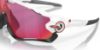 Picture of Oakley Sunglasses JAWBREAKER
