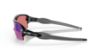 Picture of Oakley Sunglasses FLAK 2.0 (A)