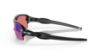 Picture of Oakley Sunglasses FLAK 2.0 (A)