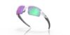 Picture of Oakley Sunglasses FLAK 2.0 (A)