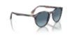 Picture of Persol Sunglasses PO3152S