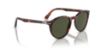 Picture of Persol Sunglasses PO3152S