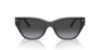Picture of Coach Sunglasses HC8370U