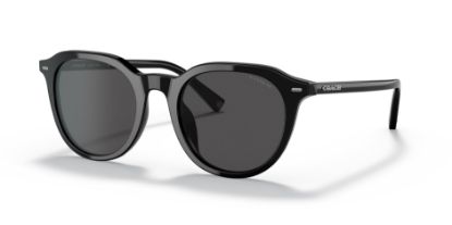 Picture of Coach Sunglasses HC8339U