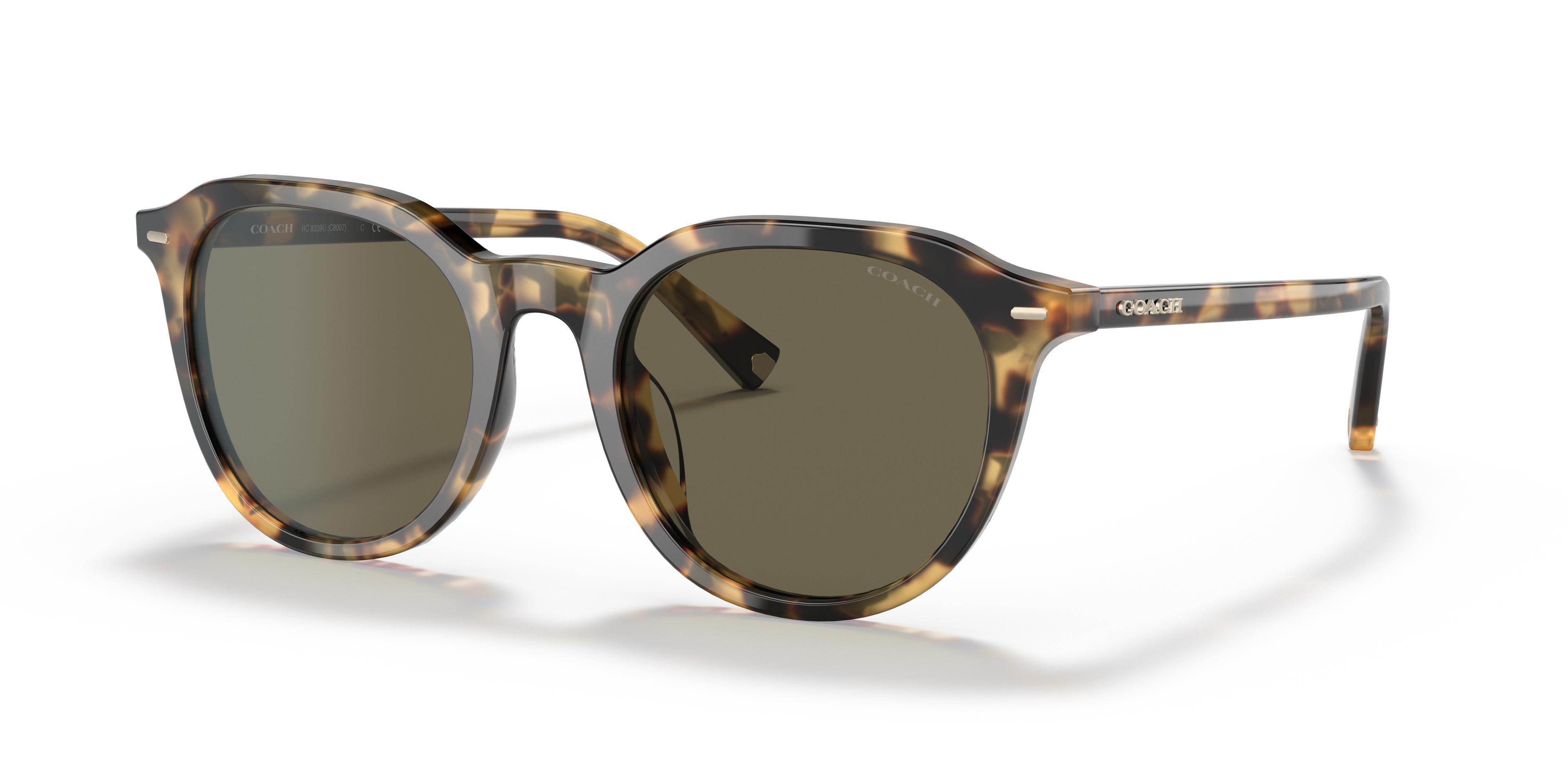 Picture of Coach Sunglasses HC8339U