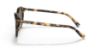 Picture of Coach Sunglasses HC8339U
