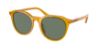 Picture of Coach Sunglasses HC8339U