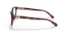Picture of Coach Eyeglasses HC6180