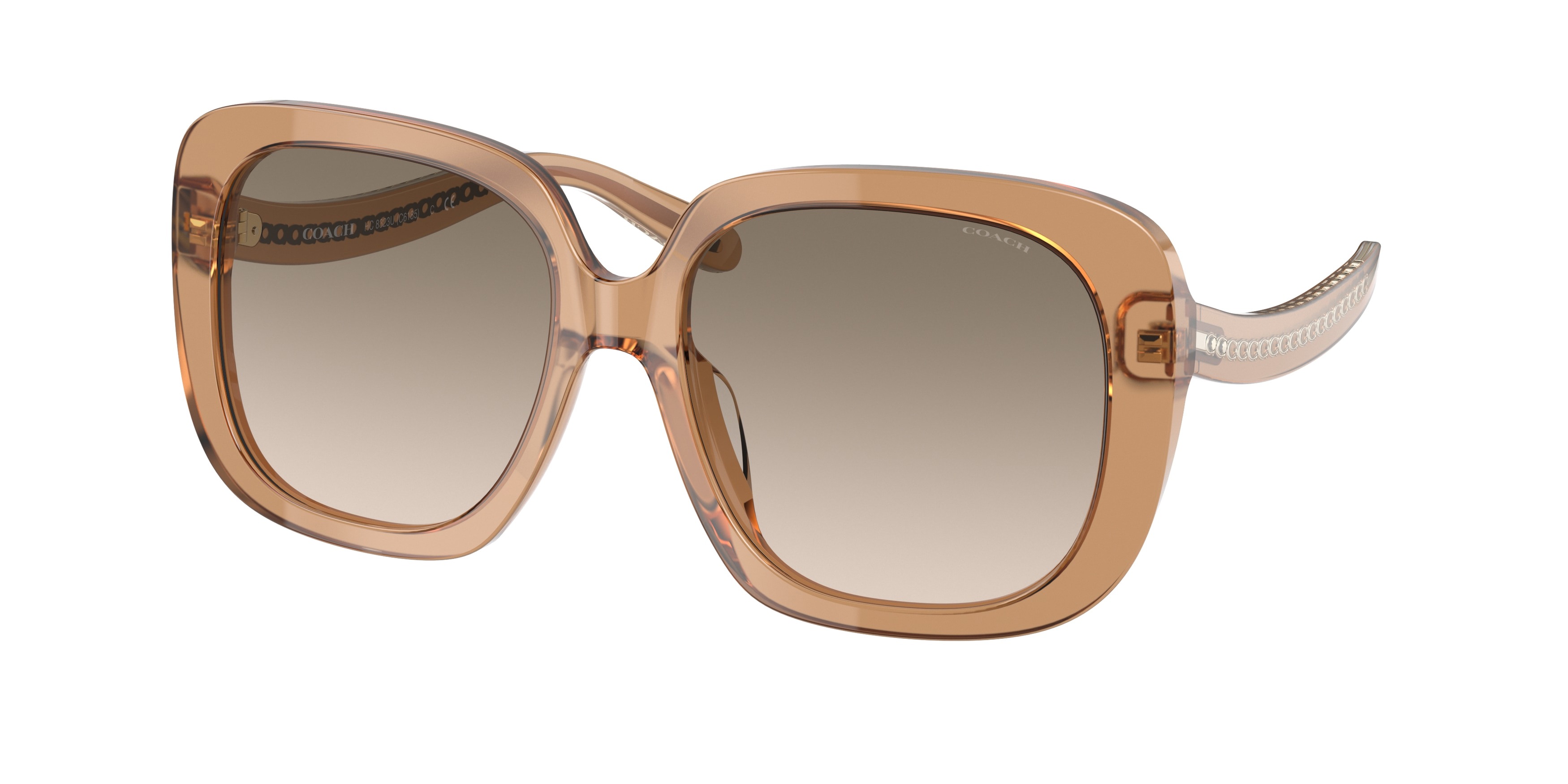 Picture of Coach Sunglasses HC8323U
