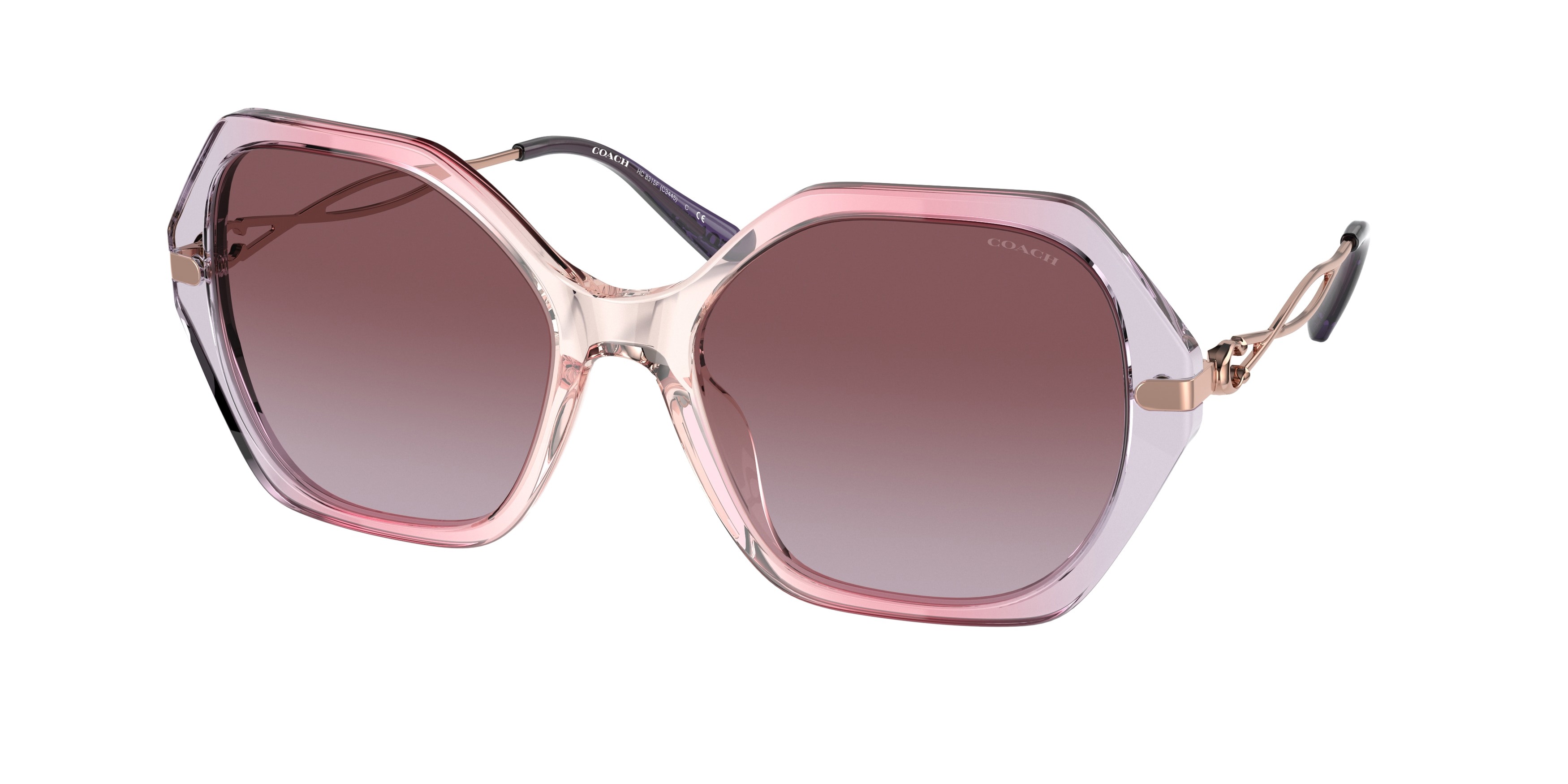 Picture of Coach Sunglasses HC8315F