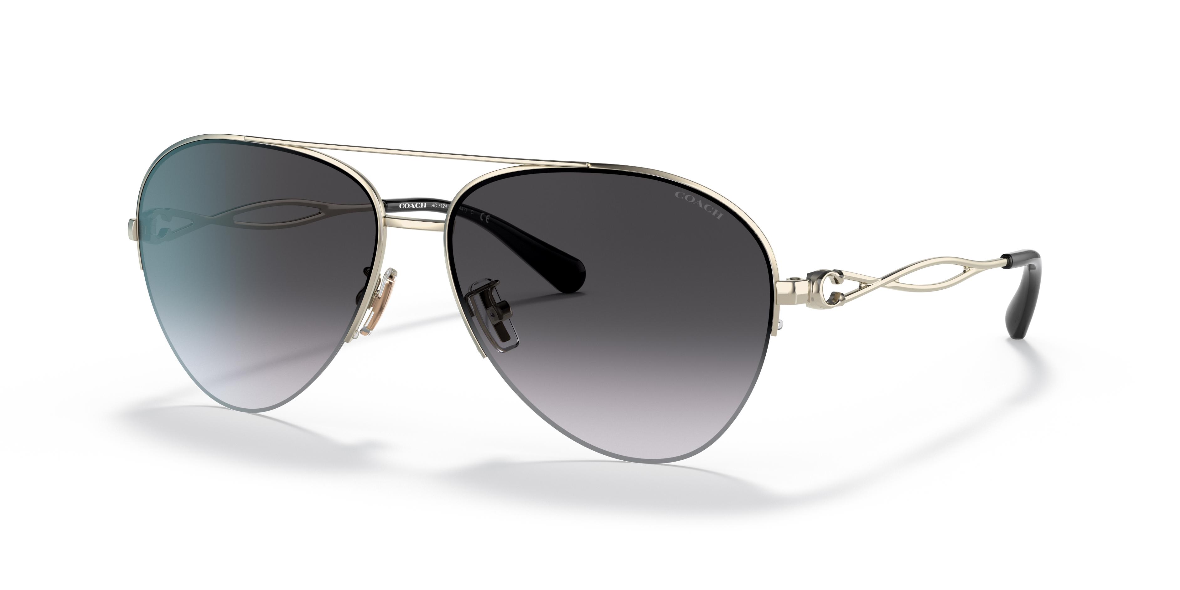 Picture of Coach Sunglasses HC7124