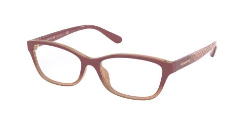 Picture of Coach Eyeglasses HC6159U