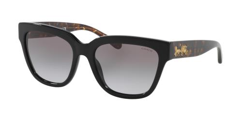 Picture of Coach Sunglasses HC8262