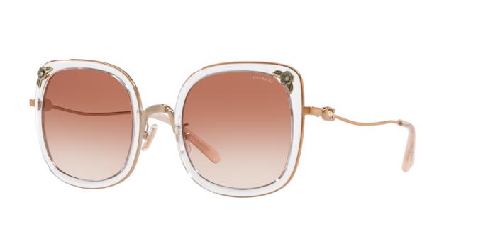 Picture of Coach Sunglasses HC7101B