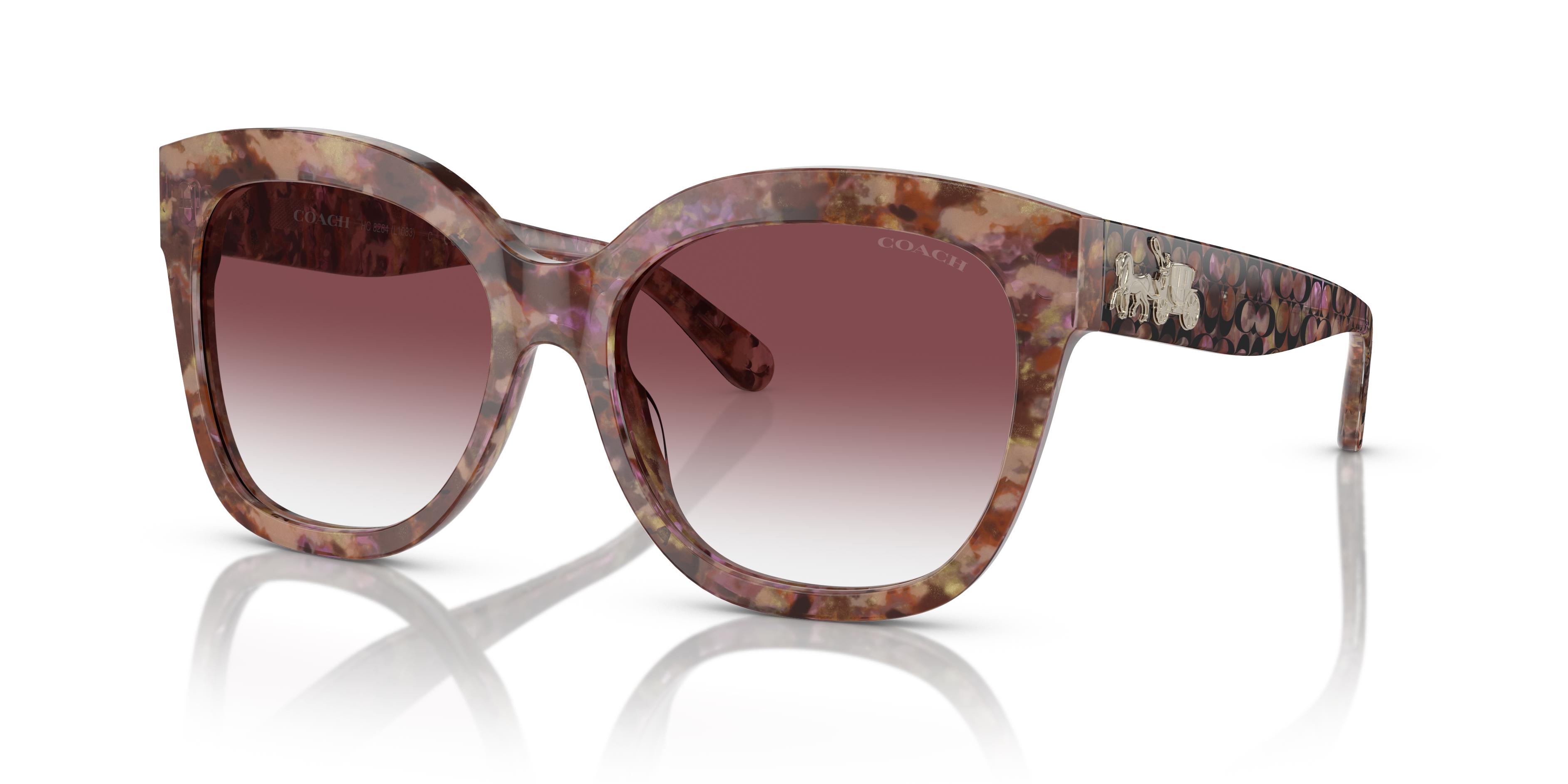 Picture of Coach Sunglasses HC8264