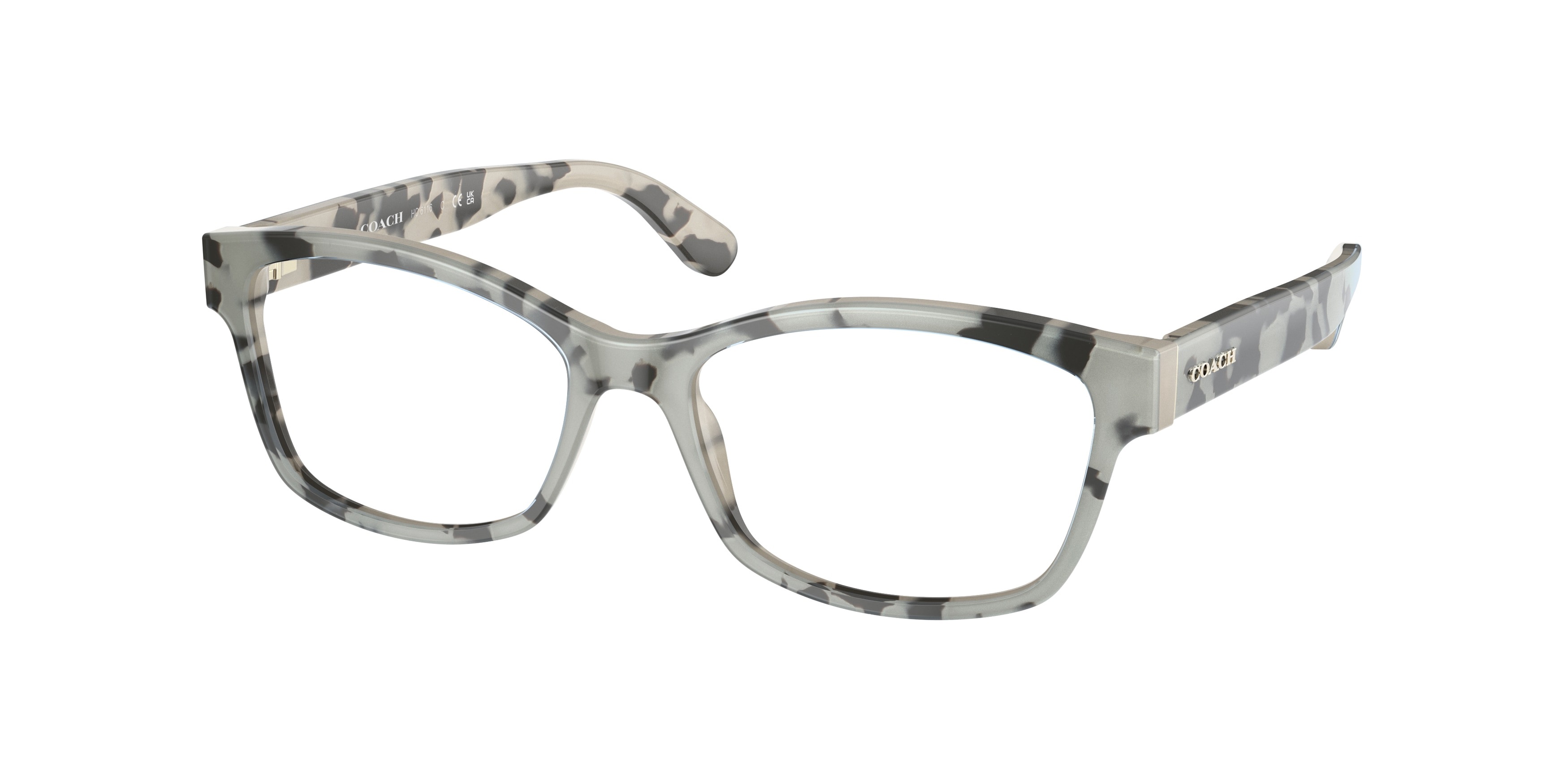 Picture of Coach Eyeglasses HC6116