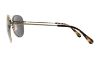 Picture of Coach Sunglasses HC7079