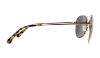 Picture of Coach Sunglasses HC7079